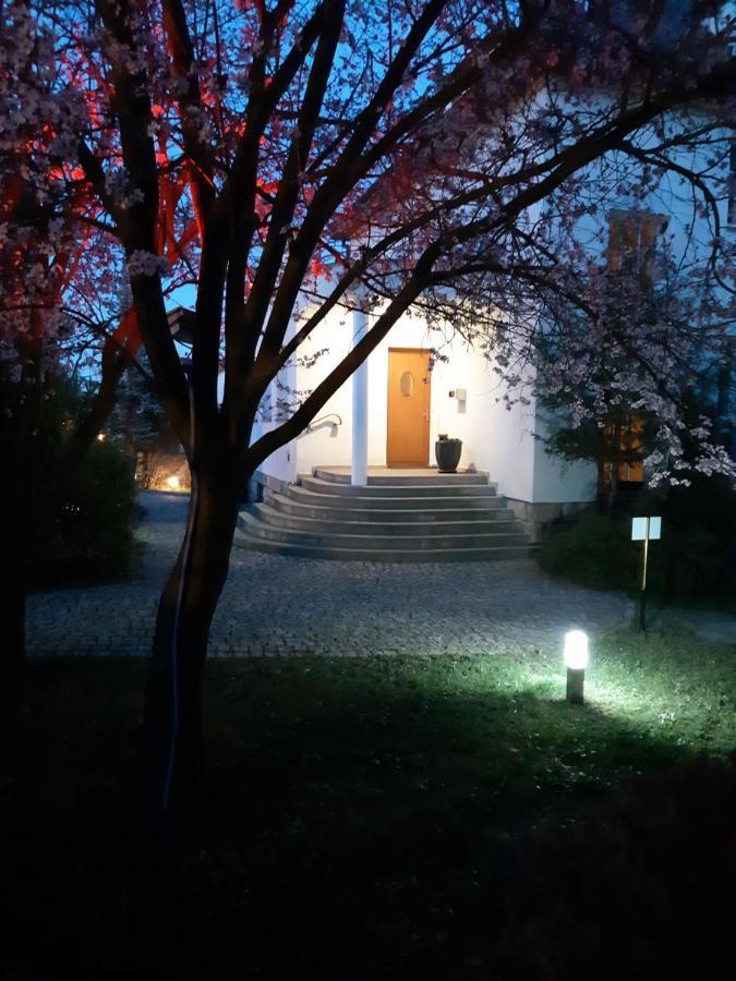 Marel- W Parku- Rydz Zdroj *