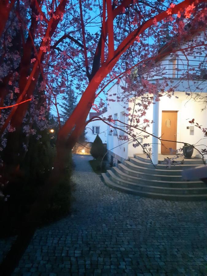 Marel- W Parku- Rydz Zdroj