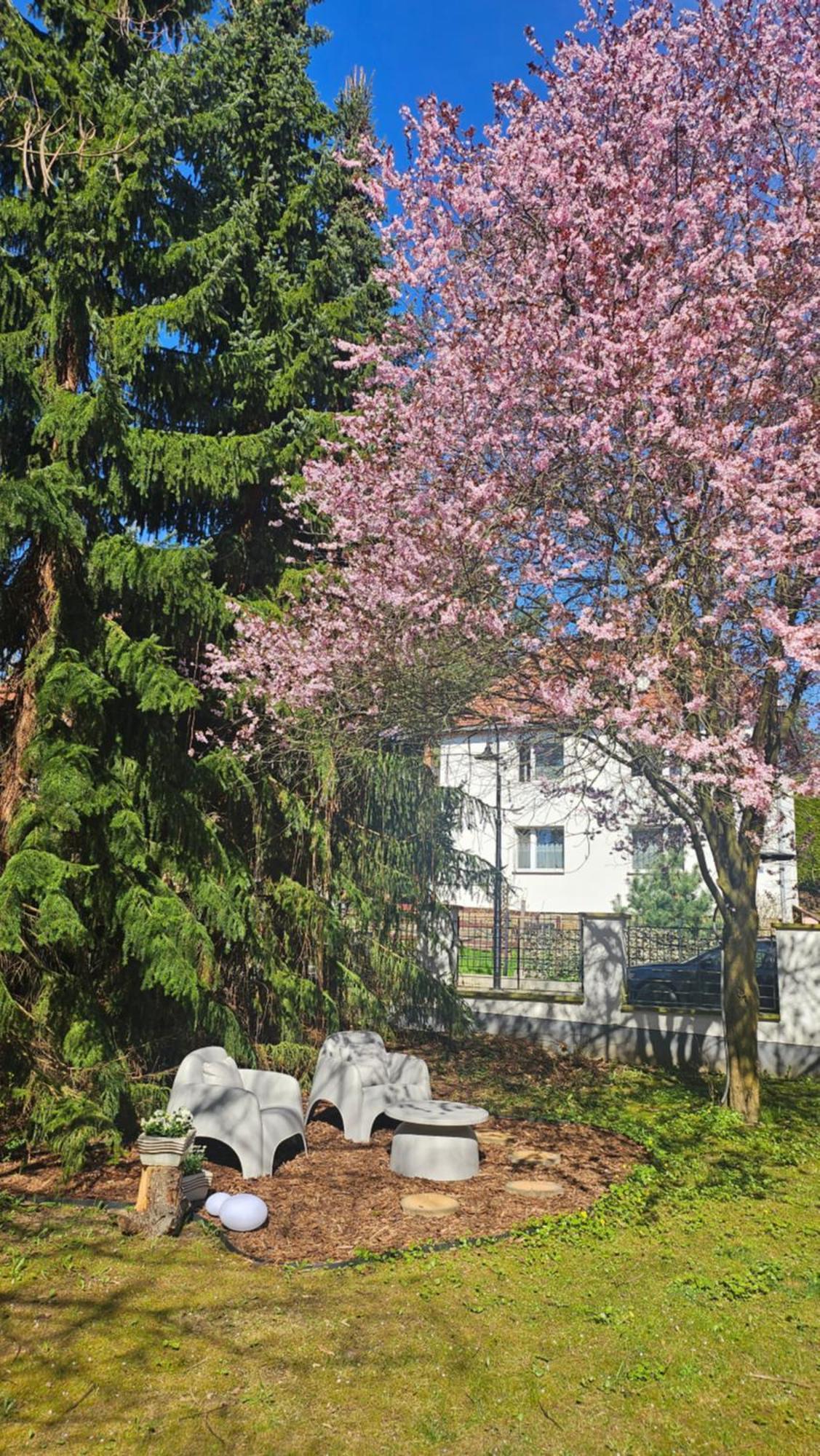 Marel- W Parku- Rydz Zdroj Apartment
